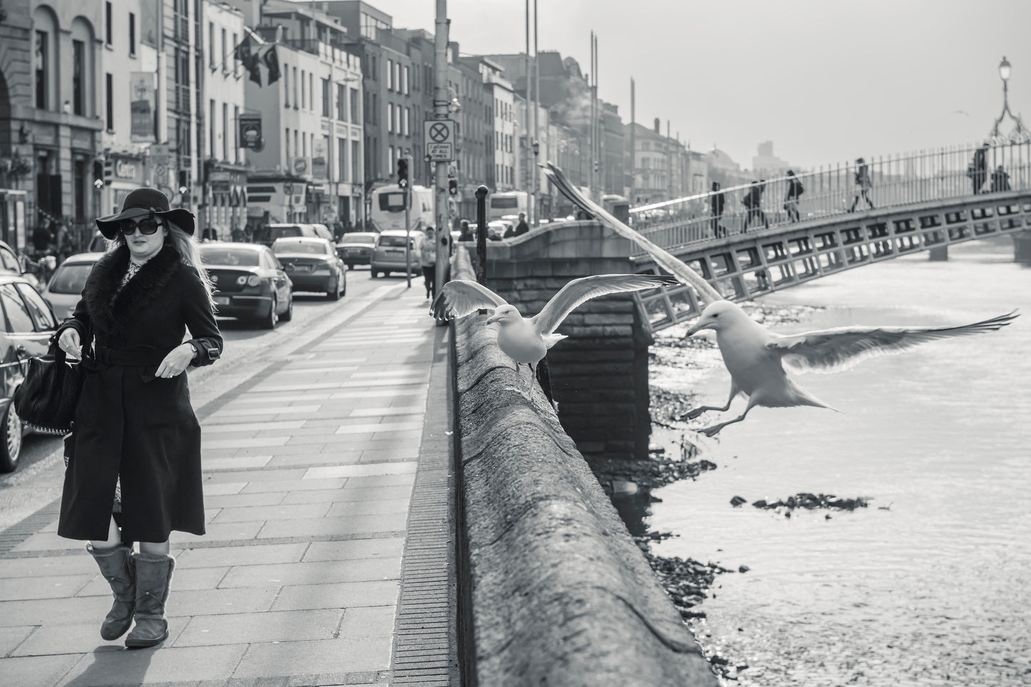 Dublin Seagulls