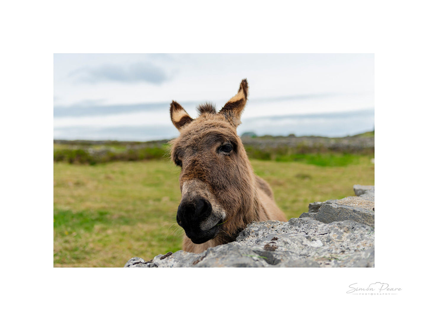 peare-photography-fine-art-print-gift-card
