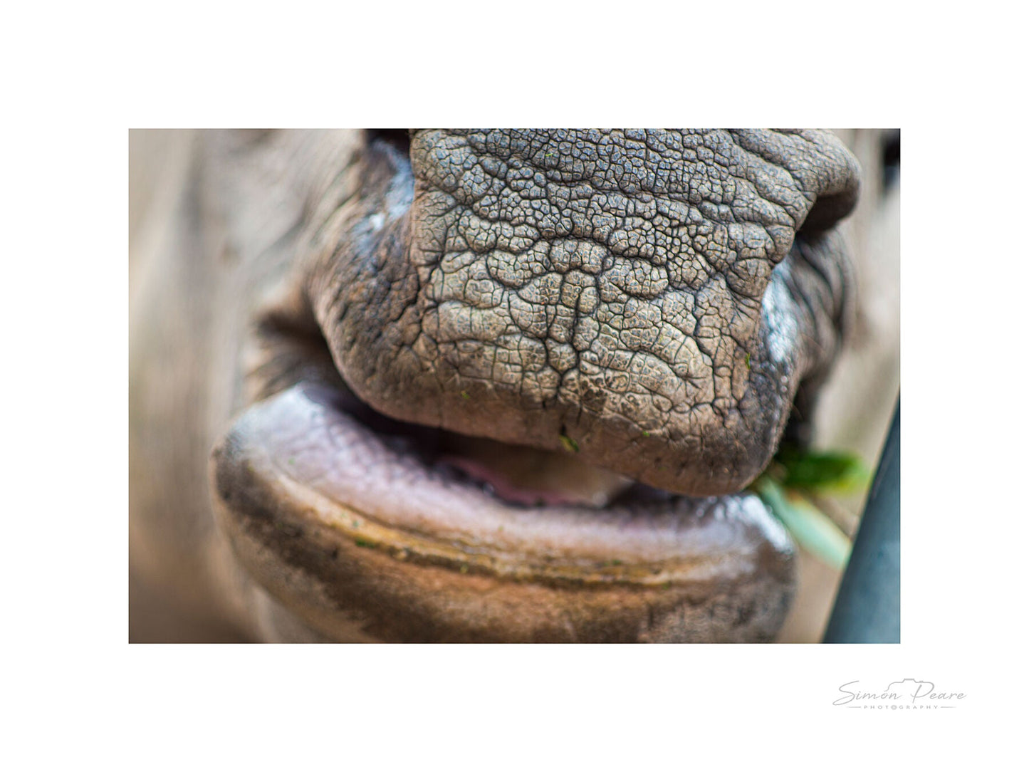peare-photography-fine-art-print-gift-card