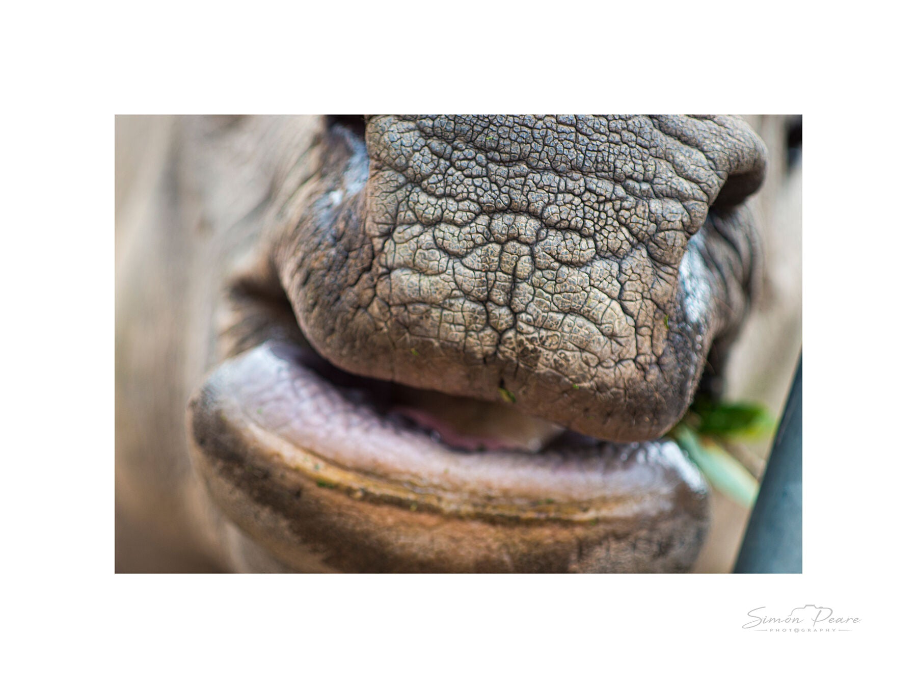 peare-photography-fine-art-print-gift-card