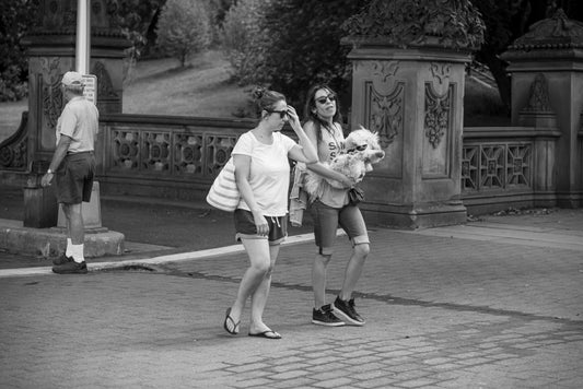 Taking the dog for a walk